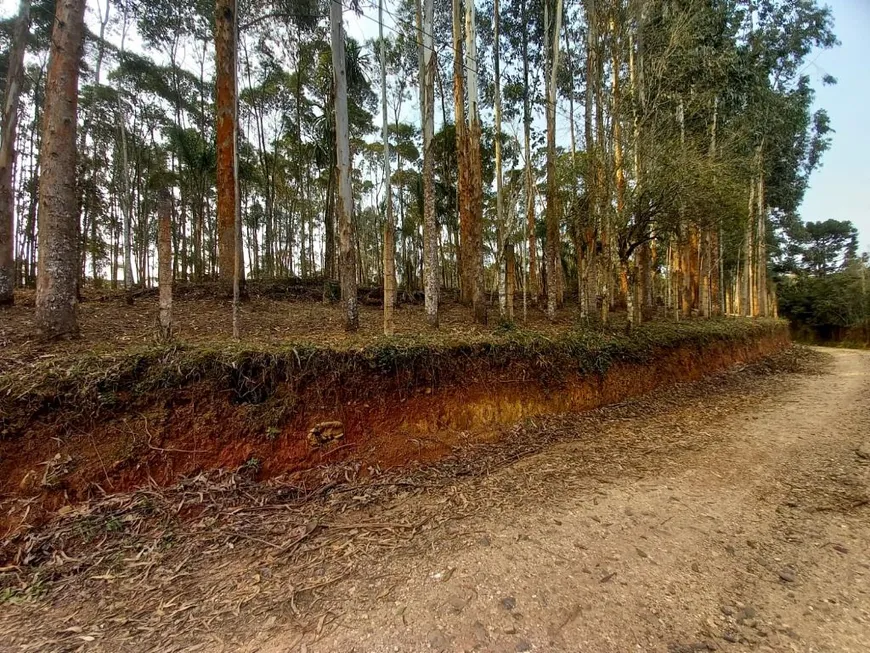 Foto 1 de Fazenda/Sítio à venda, 20000m² em Zona Rural, Campina Grande do Sul