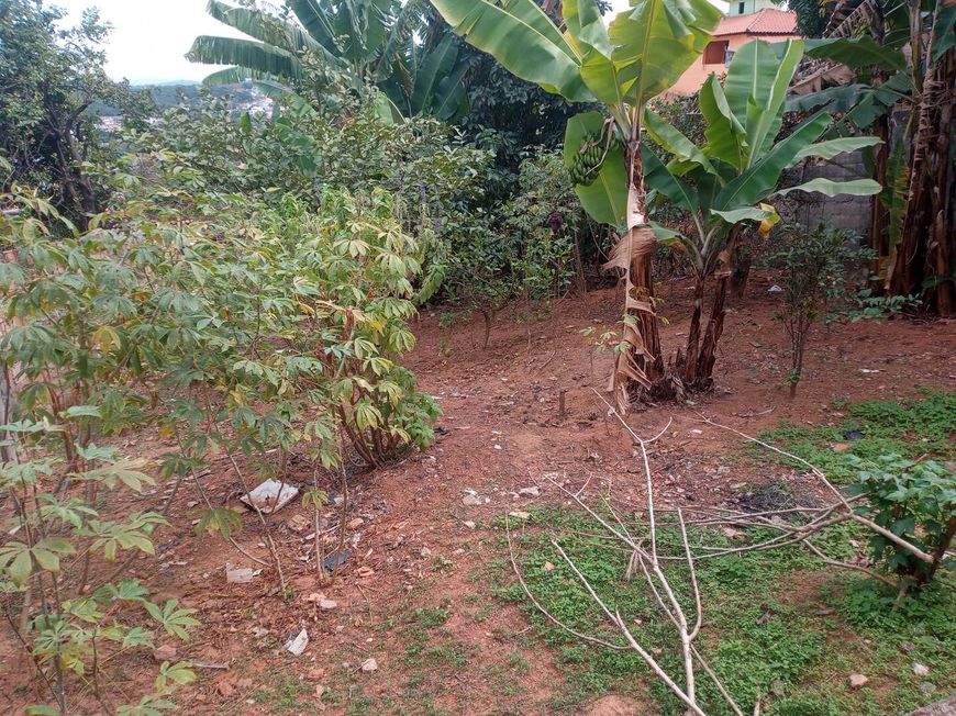 Lote para Venda - Betim / MG no bairro Petrovale, área total 371,00 m²