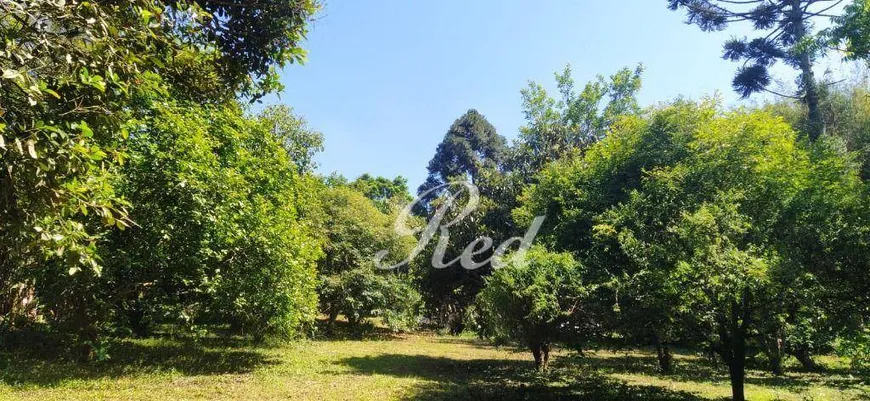 Foto 1 de Fazenda/Sítio com 3 Quartos à venda, 100m² em Estância São Luís, Suzano