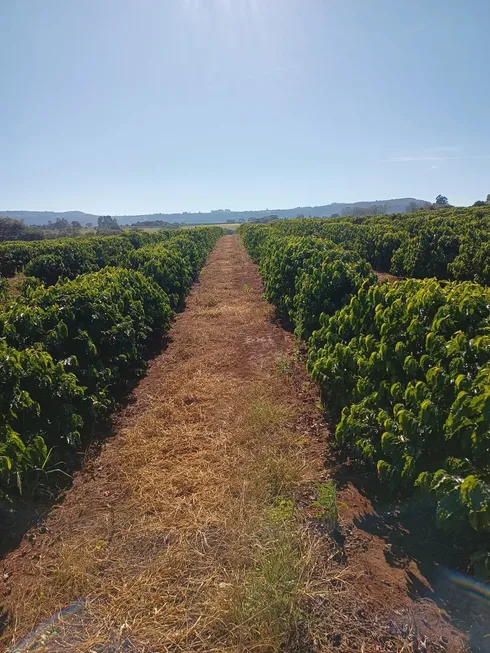 Foto 1 de Fazenda/Sítio com 6 Quartos à venda, 266200m² em Zona Rural, Santo Antônio da Alegria