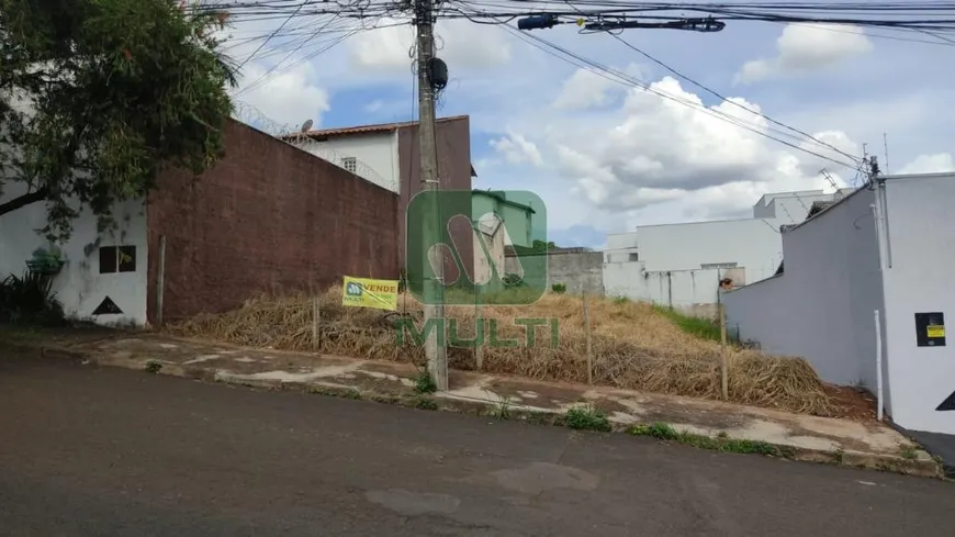 Foto 1 de Lote/Terreno com 1 Quarto à venda, 360m² em Vigilato Pereira, Uberlândia