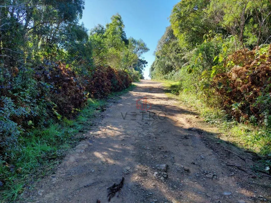 Foto 1 de Lote/Terreno à venda, 640m² em , São Francisco de Paula