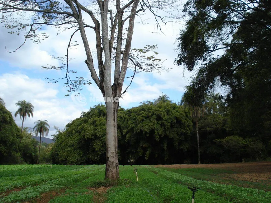 Foto 1 de Fazenda/Sítio à venda, 19675m² em Campo Verde, Mário Campos