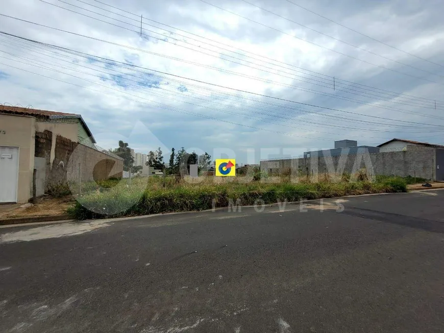 Foto 1 de Lote/Terreno à venda, 300m² em Shopping Park, Uberlândia