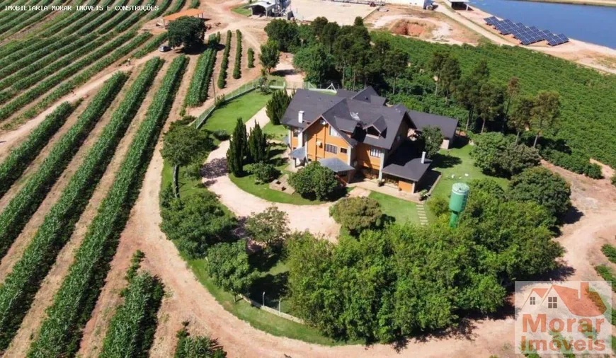 Foto 1 de Fazenda/Sítio à venda, 117m² em São Pedro, Belo Horizonte