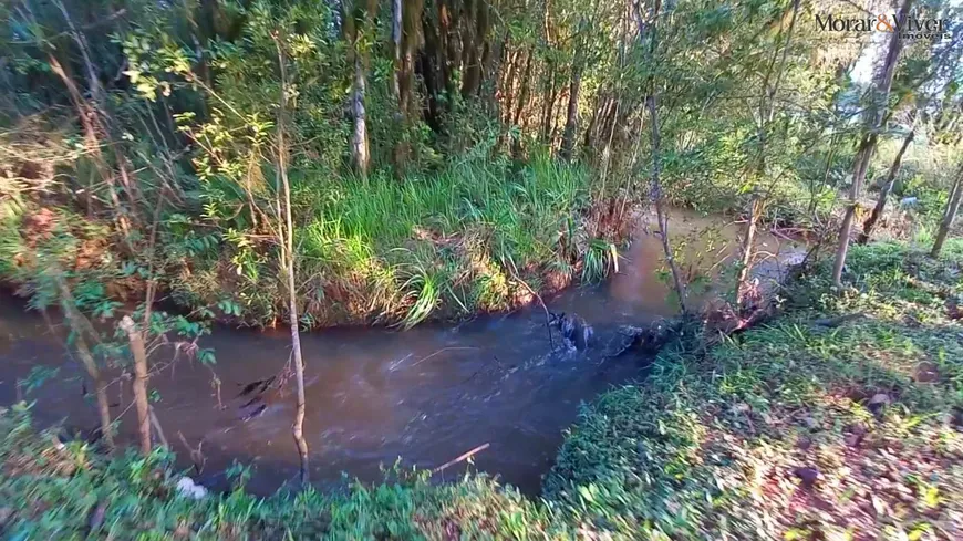 Foto 1 de Fazenda/Sítio à venda, 32800m² em , Tijucas do Sul