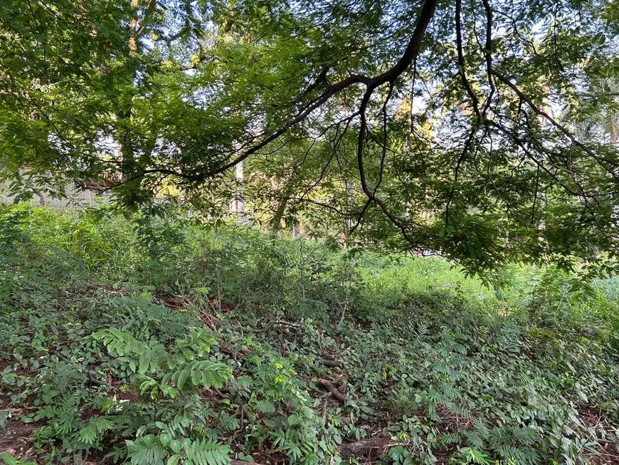 Foto 1 de Lote/Terreno à venda, 1000m² em Braúnas, Belo Horizonte