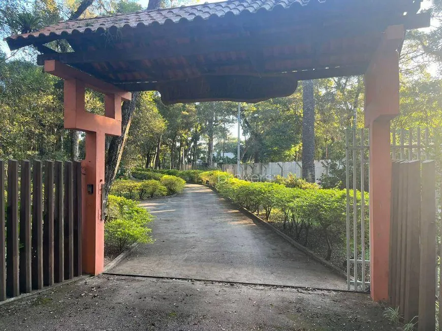 Foto 1 de Fazenda/Sítio com 3 Quartos à venda, 300m² em Zacarias, São José dos Pinhais