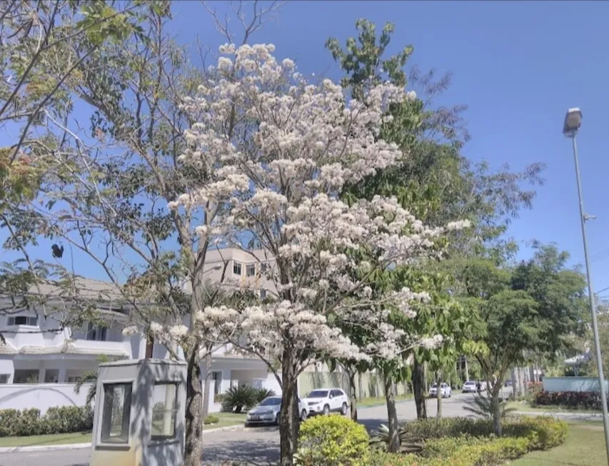 Foto 1 de Lote/Terreno à venda, 225m² em Campo Grande, Rio de Janeiro