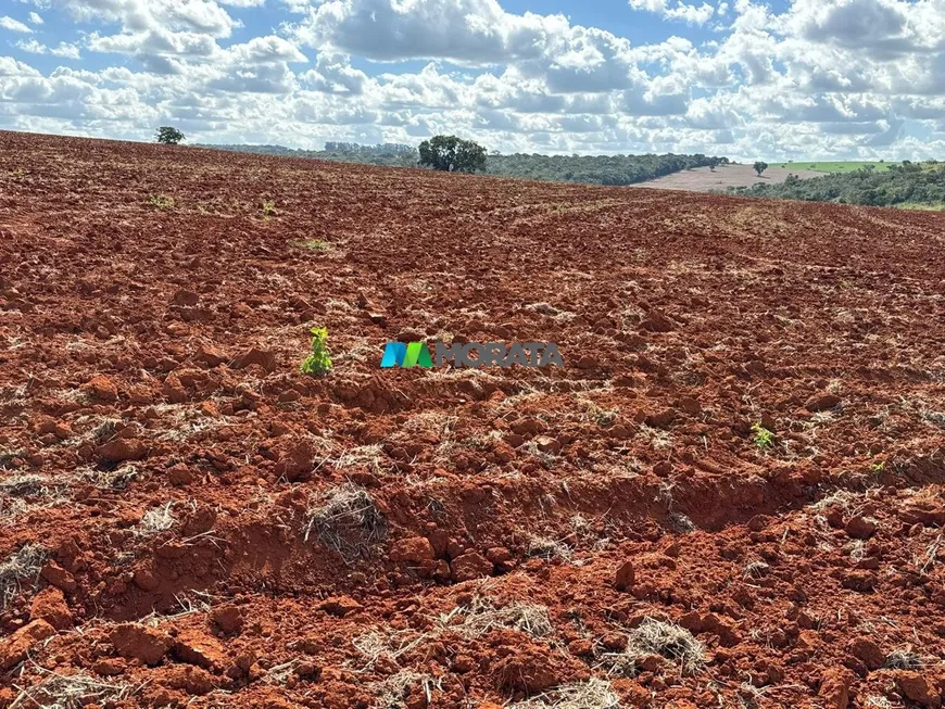 Foto 1 de Fazenda/Sítio com 3 Quartos à venda, 282m² em Zona Rural, Luz