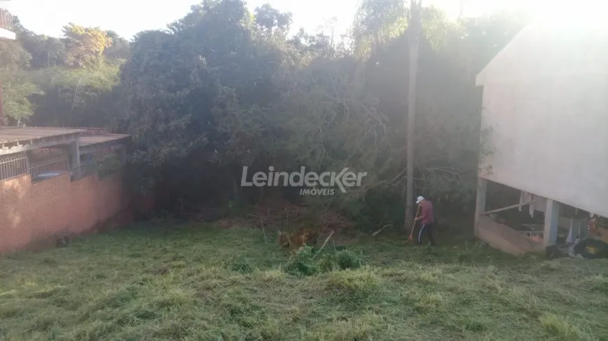 Foto 1 de Lote/Terreno à venda, 426m² em São Lucas, Viamão