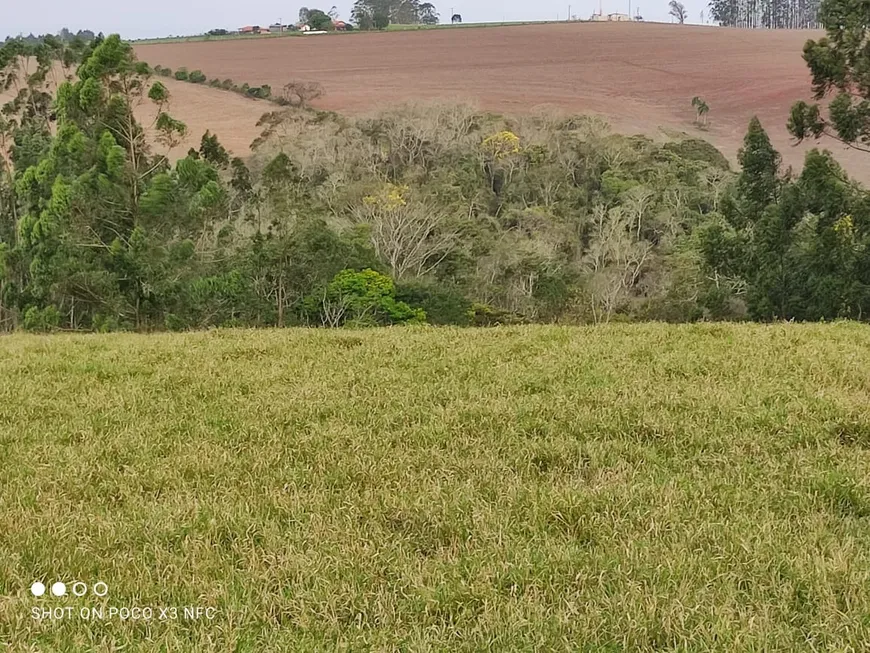 Foto 1 de Fazenda/Sítio com 2 Quartos à venda, 50m² em Zona Rural, São Miguel Arcanjo