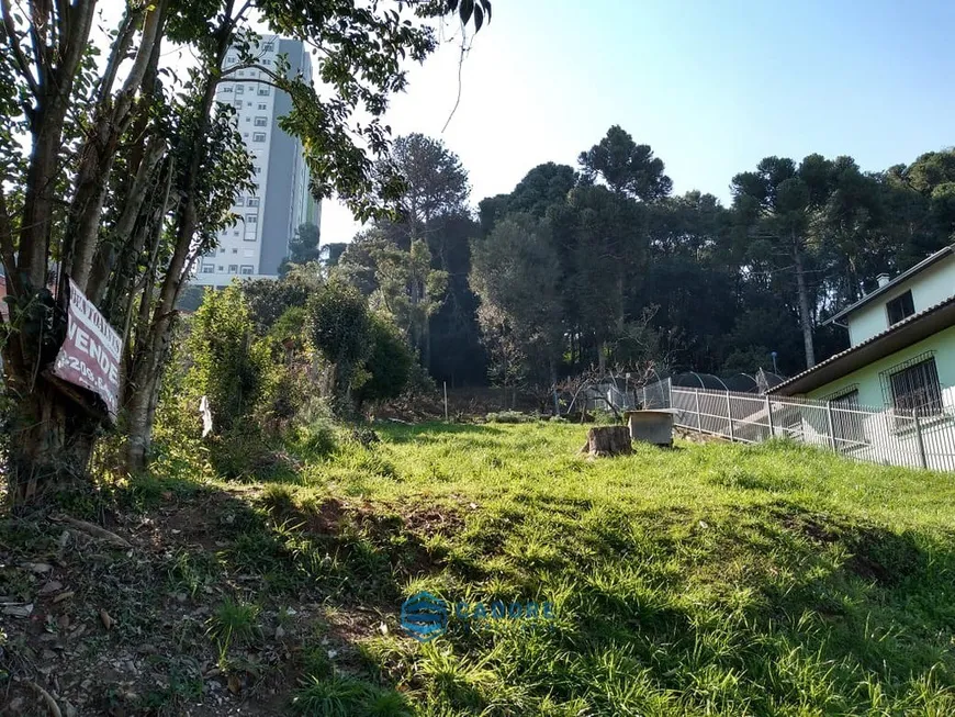 Foto 1 de Lote/Terreno à venda, 1451m² em Petrópolis, Caxias do Sul