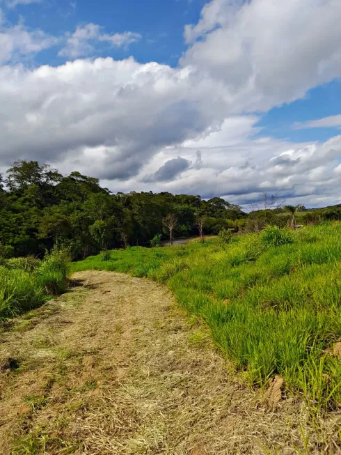 Foto 1 de Lote/Terreno à venda, 500m² em Bosque do Vianna, Cotia