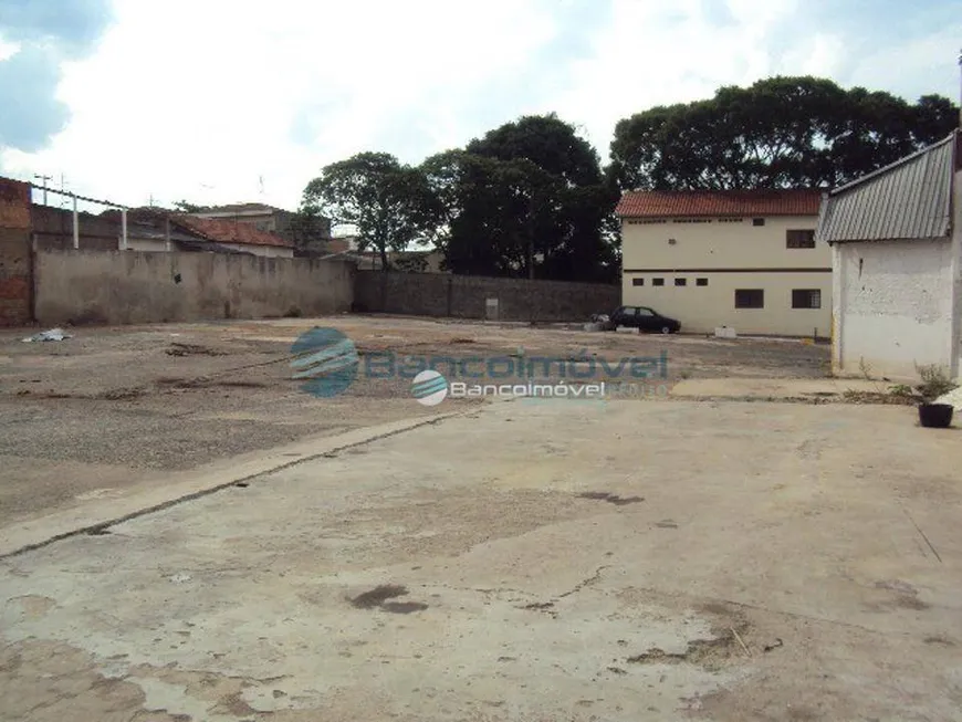 Foto 1 de Lote/Terreno para venda ou aluguel, 3900m² em São Bernardo, Campinas