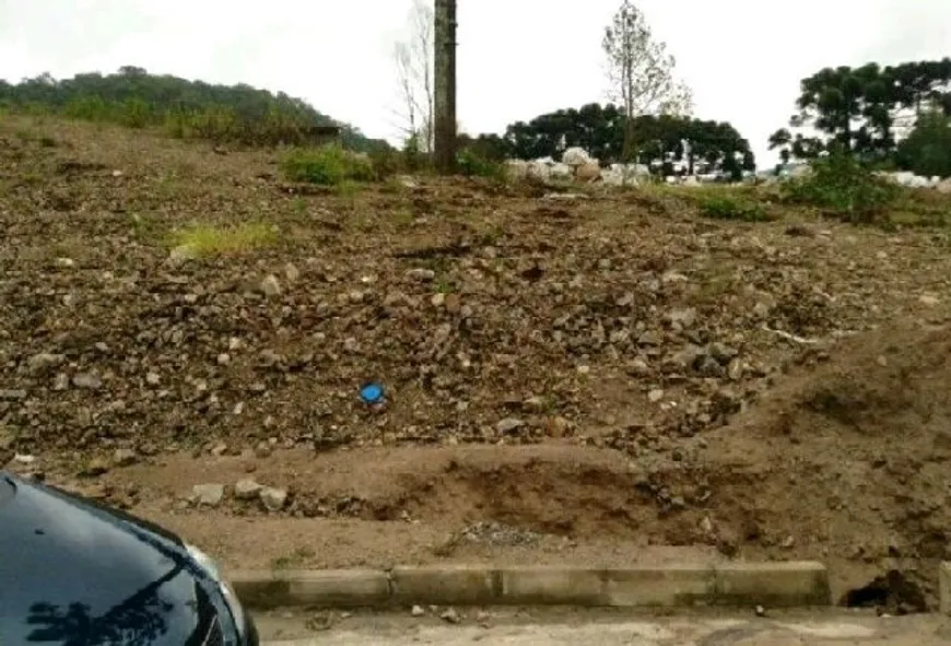 Foto 1 de Lote/Terreno à venda em Reolon, Caxias do Sul