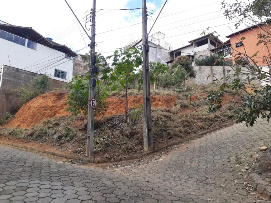 Foto 1 de Lote/Terreno à venda, 410m² em Alto da Boa Vista, Ponte Nova
