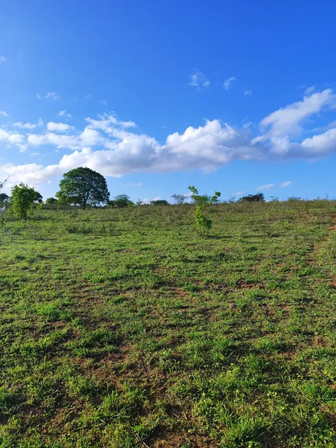 Foto 1 de Fazenda/Sítio com 4 Quartos à venda, 300m² em , Boa Saúde