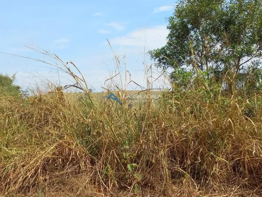 Foto 1 de Lote/Terreno à venda, 23535m² em Sousas, Campinas