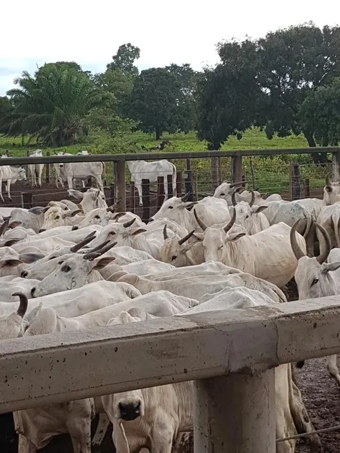 Foto 1 de Fazenda/Sítio à venda em Centro, Água Fria de Goiás