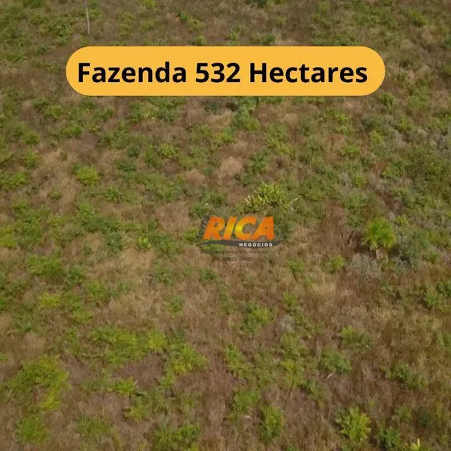 Foto 1 de Fazenda/Sítio à venda, 5320000m² em , Humaitá