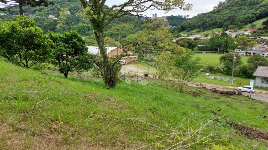 Foto 1 de Fazenda/Sítio com 1 Quarto à venda, 70000m² em Barracao, Bento Gonçalves