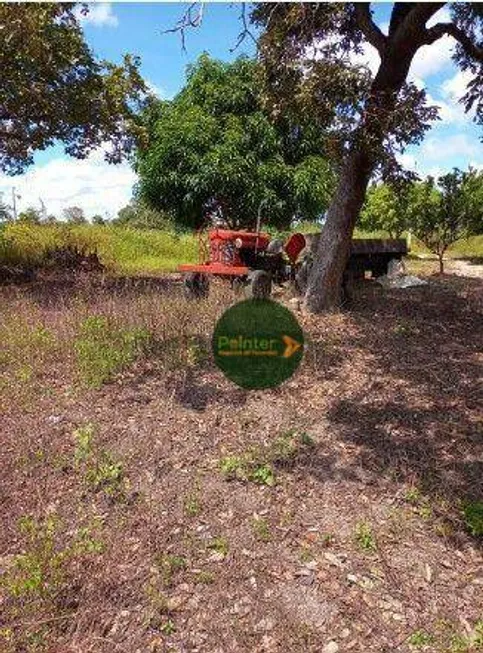 Foto 1 de Fazenda/Sítio à venda, 35622400m² em Rural, Paranã