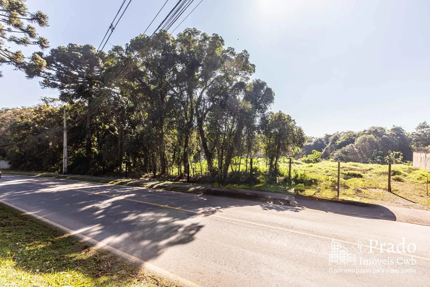 Foto 1 de Lote/Terreno à venda, 10m² em Del Rey, São José dos Pinhais