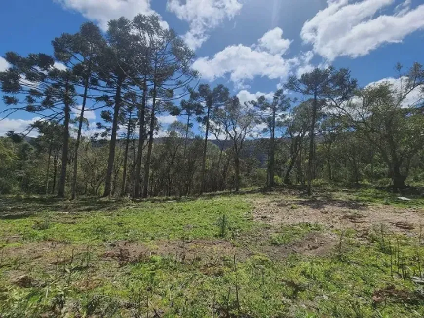 Foto 1 de Lote/Terreno à venda em Santa Tereza, Urubici