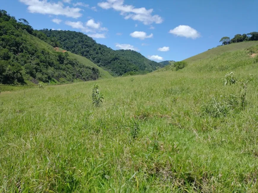 Foto 1 de Fazenda/Sítio à venda, 30000m² em Zona Rural, Marechal Floriano