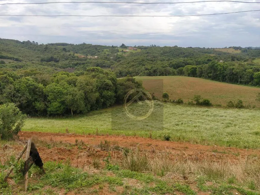 Foto 1 de Fazenda/Sítio com 4 Quartos à venda, 38000m² em Roça Velha, São José dos Pinhais