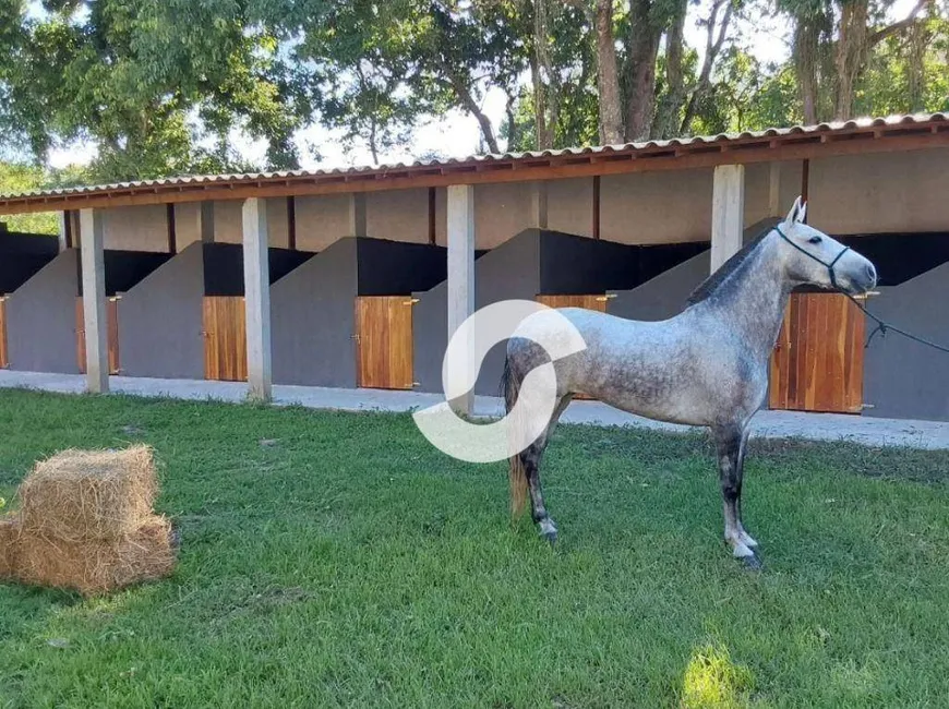 Foto 1 de Fazenda/Sítio com 1 Quarto à venda, 150m² em Rincao Mimoso Itaipuacu, Maricá