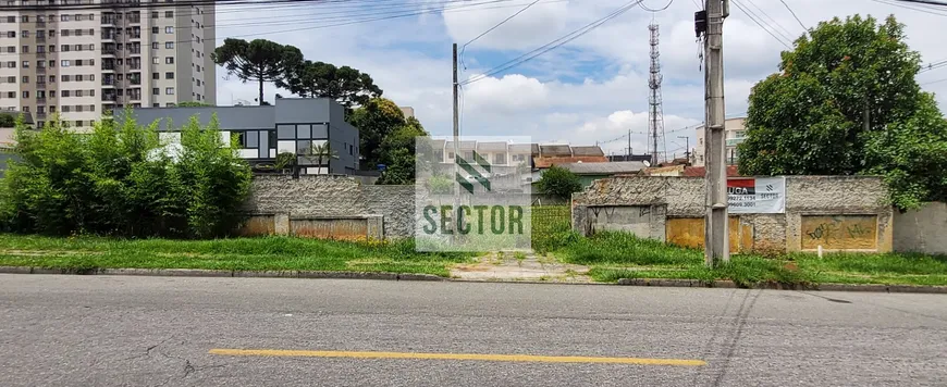 Foto 1 de Lote/Terreno para alugar, 1000m² em Centro, São José dos Pinhais