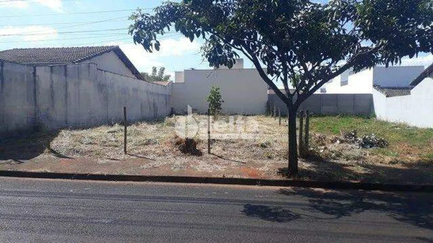 Foto 1 de Lote/Terreno à venda, 250m² em Alto Umuarama, Uberlândia