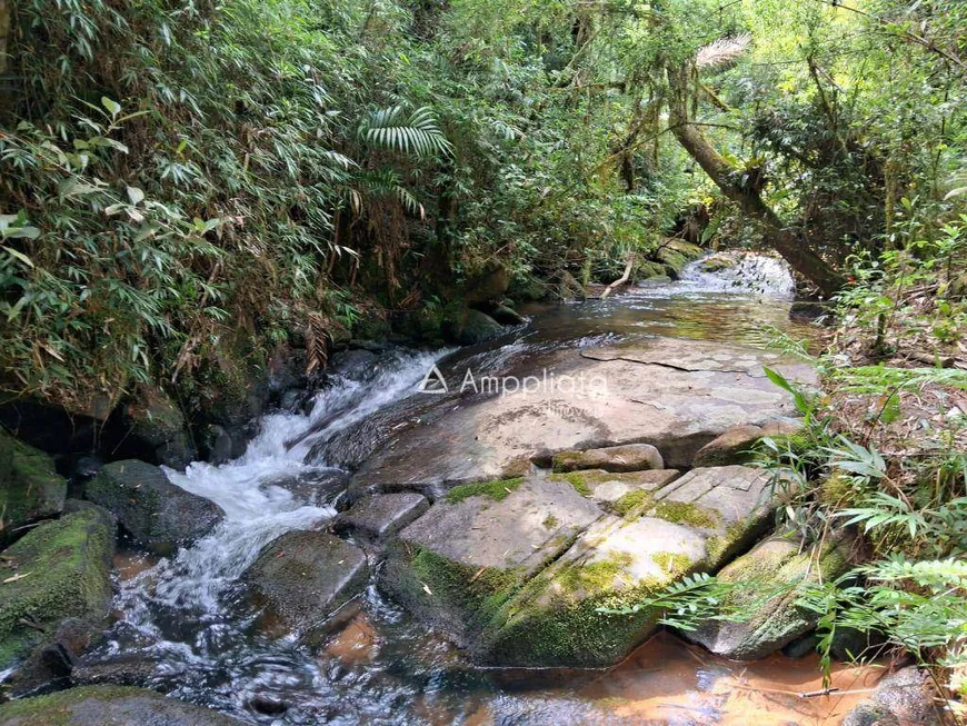 Foto 1 de Fazenda/Sítio à venda, 113500m² em , Campina Grande do Sul