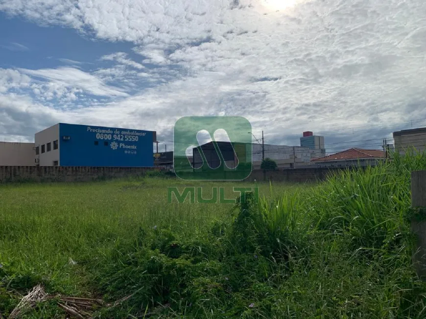 Foto 1 de Lote/Terreno com 1 Quarto para alugar, 1600m² em Brasil, Uberlândia