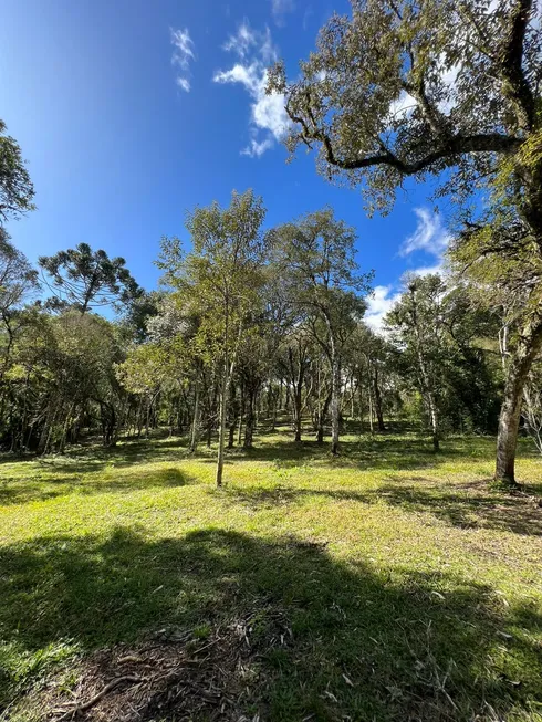 Foto 1 de Lote/Terreno à venda, 20000m² em Morro Campestre, Urubici