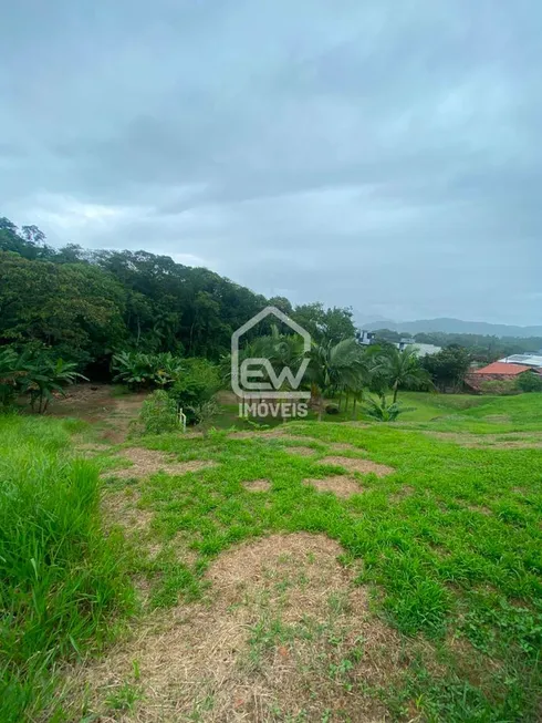 Foto 1 de Lote/Terreno à venda, 870m² em Ilha da Figueira, Jaraguá do Sul