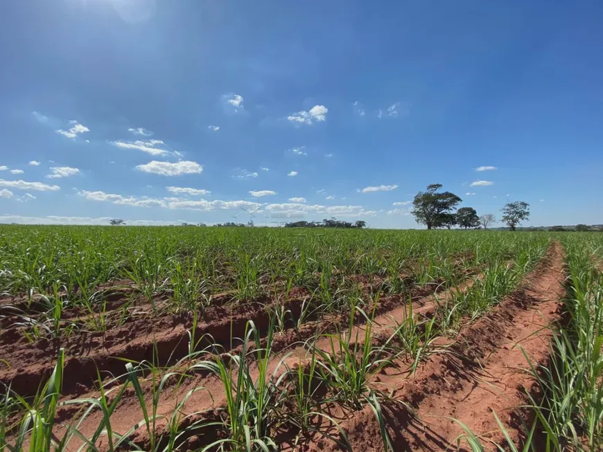 Foto 1 de Fazenda/Sítio à venda, 556600m² em , 