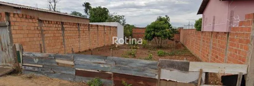 Foto 1 de Lote/Terreno à venda, 290m² em Shopping Park, Uberlândia