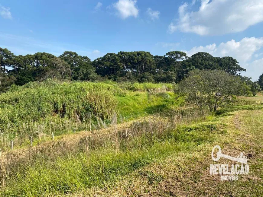 Foto 1 de Lote/Terreno à venda, 27219m² em Zacarias, São José dos Pinhais