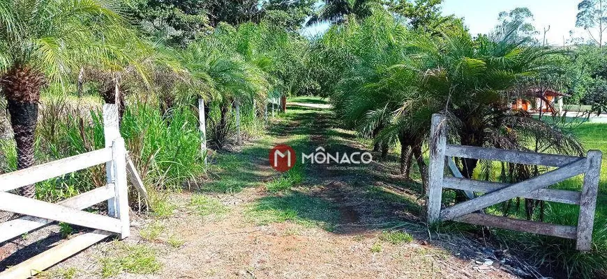 Foto 1 de Fazenda/Sítio com 4 Quartos à venda, 600m² em Limoeiro, Londrina