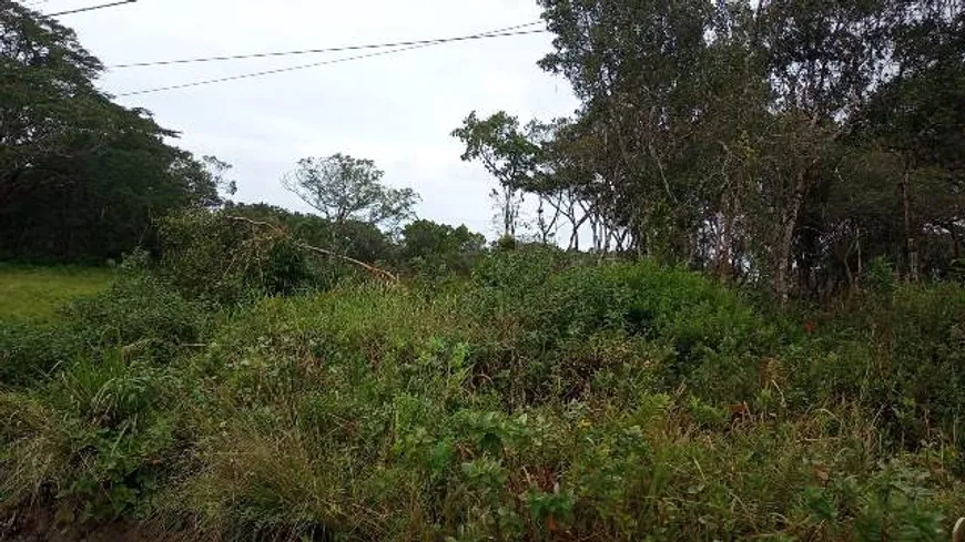 Foto 1 de Lote/Terreno à venda, 1200m² em Jardim Bopiranga, Itanhaém