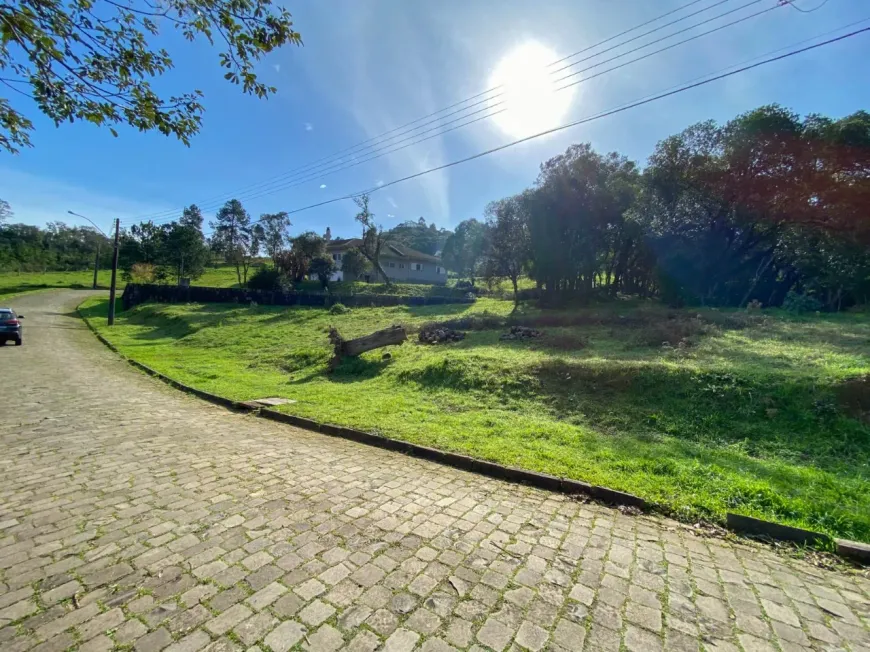 Foto 1 de Lote/Terreno à venda, 1620m² em Linha 40, Caxias do Sul