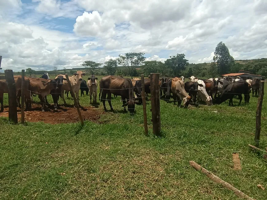 Foto 1 de Fazenda/Sítio à venda, 1700000m² em Rural, Abaeté