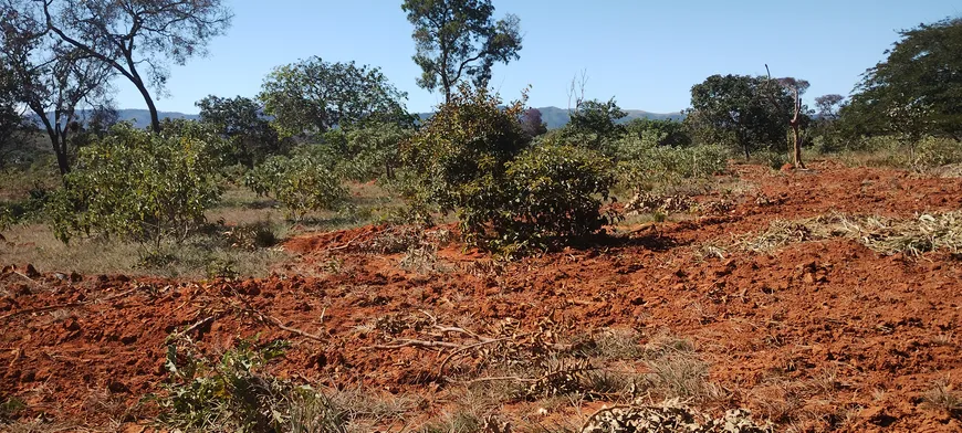 Foto 1 de Lote/Terreno à venda, 20000m² em Zona Rural, Jequitibá