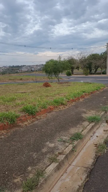 Foto 1 de Lote/Terreno à venda, 340m² em Parque das Amoras II, São José do Rio Preto