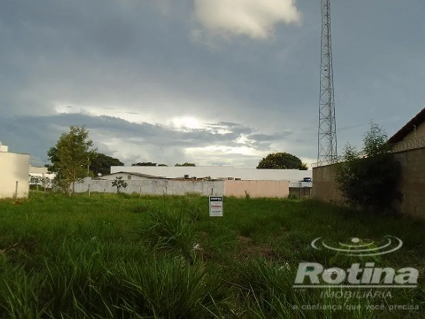 Foto 1 de Lote/Terreno à venda, 300m² em Segismundo Pereira, Uberlândia