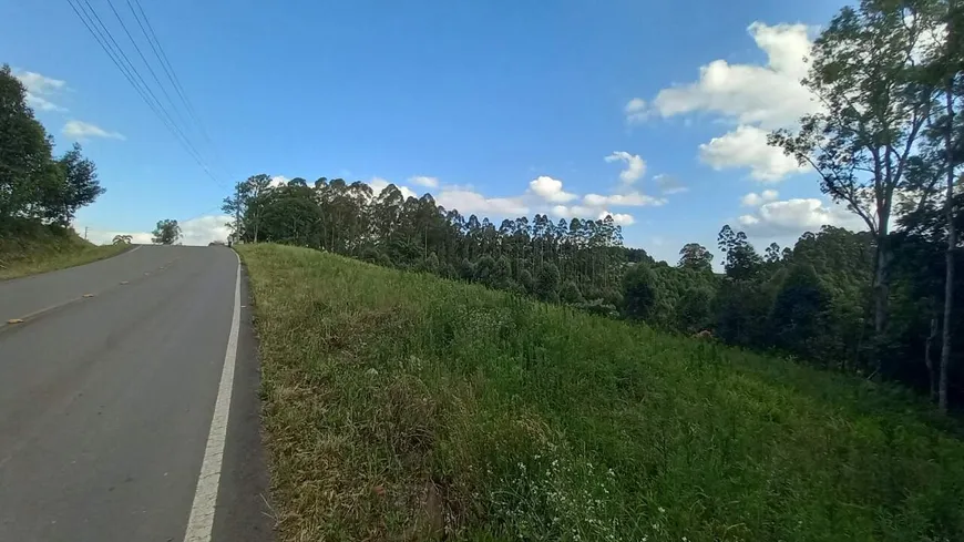 Foto 1 de Lote/Terreno à venda, 20000m² em , Carlos Barbosa