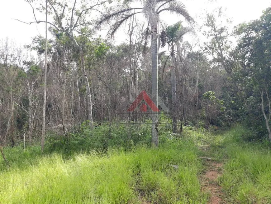 Foto 1 de Lote/Terreno à venda, 13000m² em Fazenda Aya, Suzano